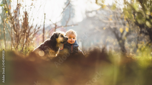Happy toddler with her dog playing and hugging on sunny afternoon. © Micko1986