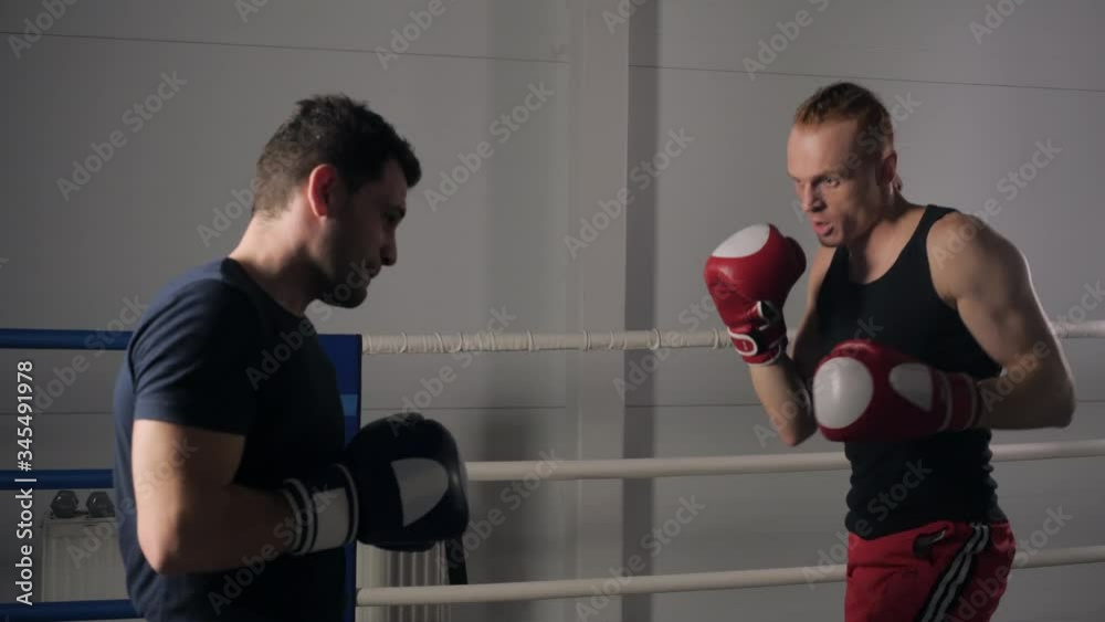 Two boxer men fighting on boxing ring in fight club. Kickboxer kicking to rival on boxing ring in gym. Fight training in sport club Two boxer men fighting on boxing ring in fight club. Kickboxer kicking to rival on boxing ring in gym. Fight training in sport club