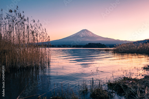 Fuji mountain view with lake and grass in foreground. © Teeranon