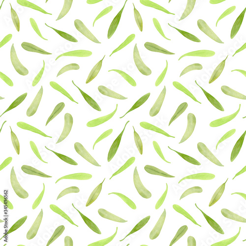 Watercolor tea tree leaf seamless pattern. Hand drawn illustration of Melaleuca. Little green fallen leaves isolated on white background. Herbs for cosmetics  package  textile  cards  decoration.