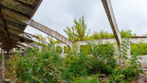 Indoor view of an abandoned soviet collective farm building overgrown with greenery