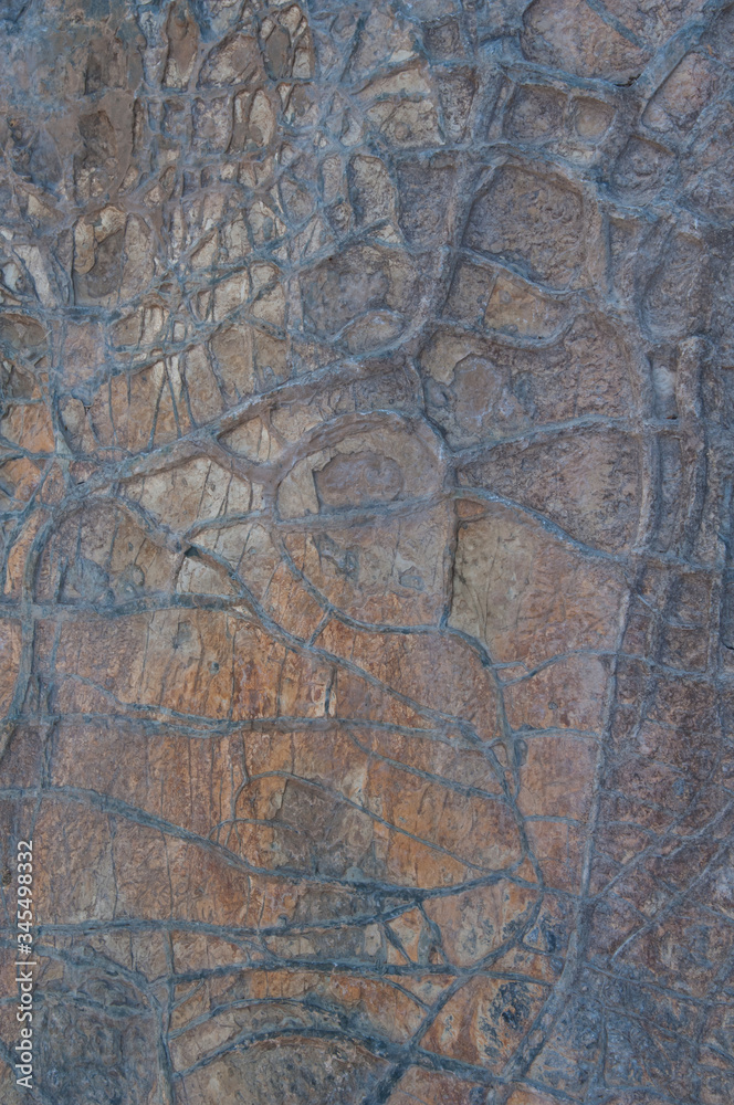 Natural marks on the rock. Integral Natural Reserve of Inagua. Gran Canaria. Canary Islands. Spain.