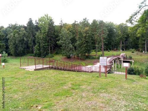wooden fence in the park