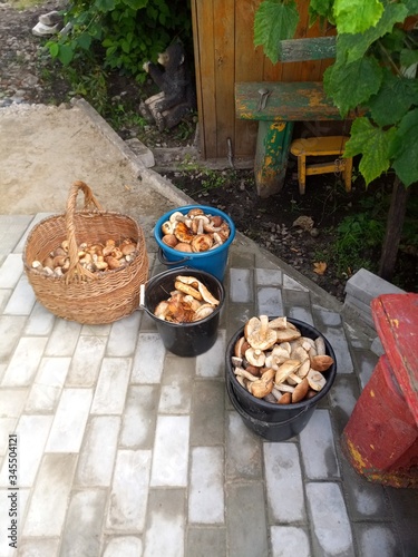 homemade cookies in a garden