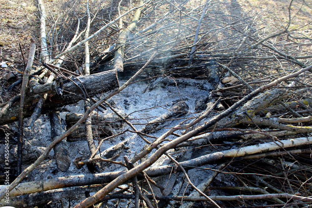 Extinct bonfire with tree branches and ash Extinct bonfire with tree branches and ash