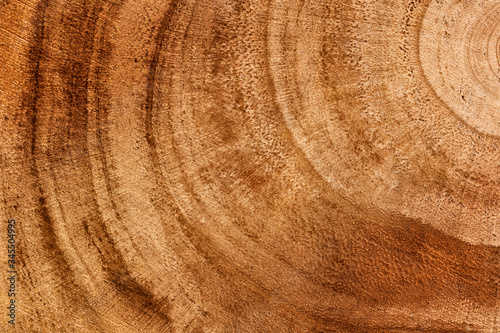 Wooden detailed texture of cut tree trunk or stump, closeup. Tree trunk cross-section. Top view, macro, close up