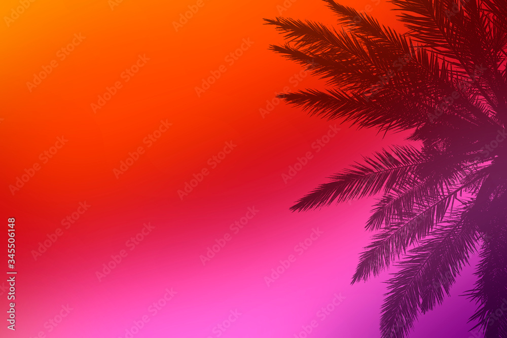 Abstract blurred background of several colors and the shadow of palm branches. Can be used as wallpaper. Tropics concept. Flat lay, top view