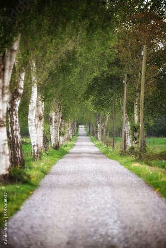 Wege in Norddeutschland