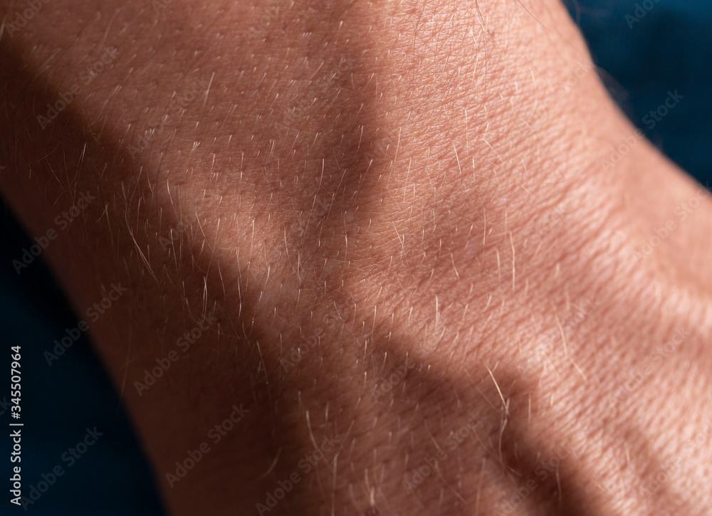 veins on a male hand as a background