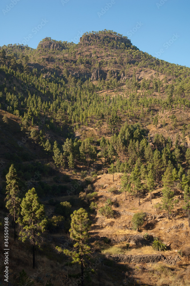 Las Brujas Mountain. Integral Natural Reserve of Inagua. Gran Canaria. Canary Islands. Spain.