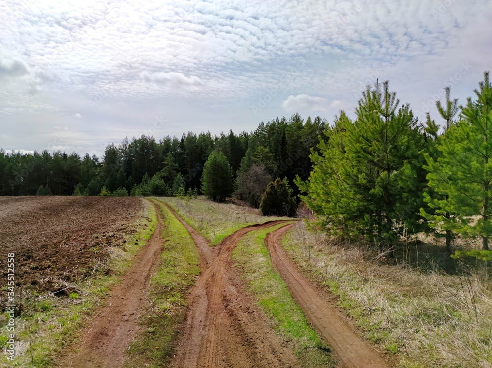 sunny blue sky with clouds over a forked road by a pine forest and field