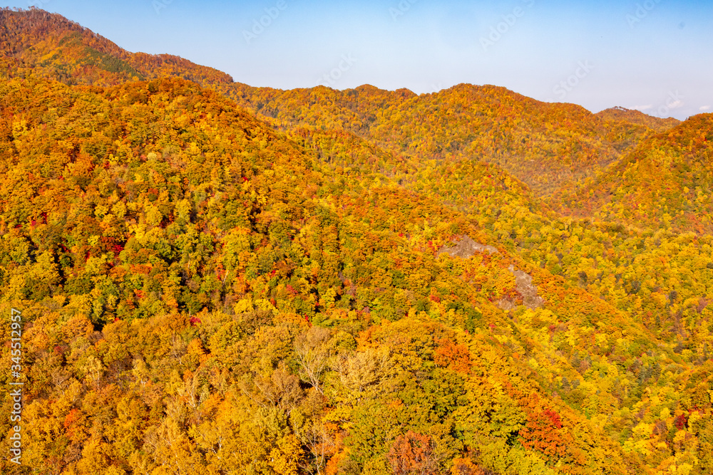 札幌市・定山渓近くの八剣山・山頂から眺める色とりどりの紅葉