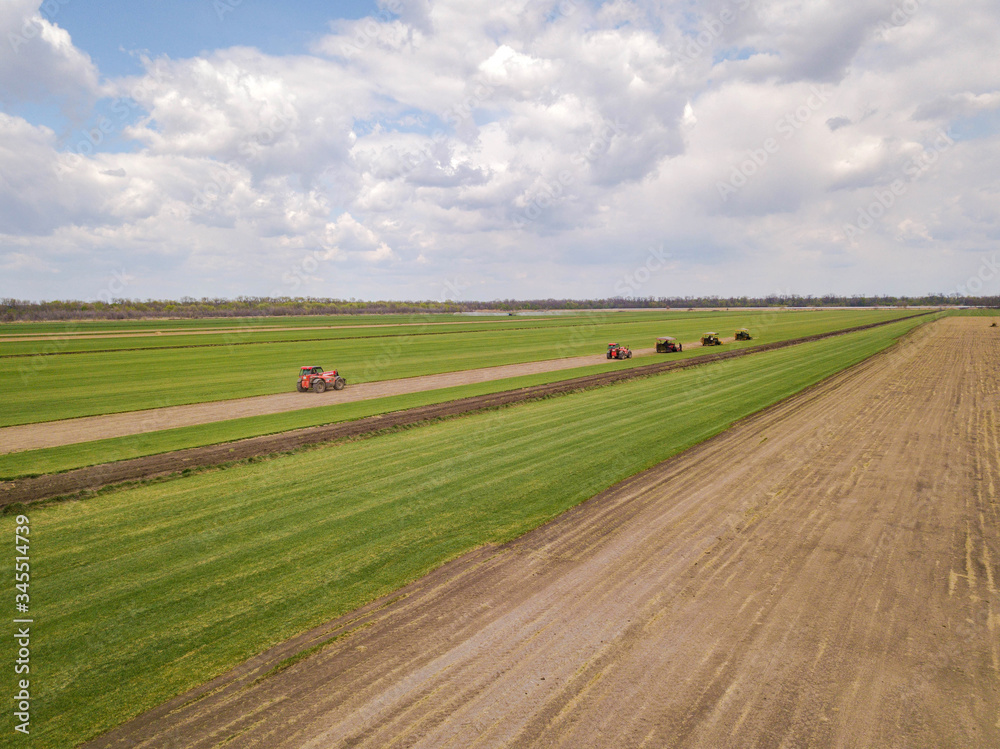 Aerial drone photo. Agriculture machienary cultivates green rolled lawn.