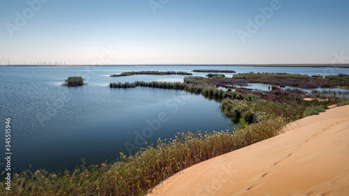 Wallpaper Mural The Yellow Lake in the Desert of the Kingdom of Saudi Arabia Torontodigital.ca