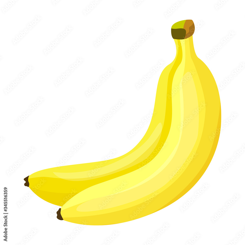 Bunch banana vector icon.Cartoon vector icon isolated on white background bunch banana.
