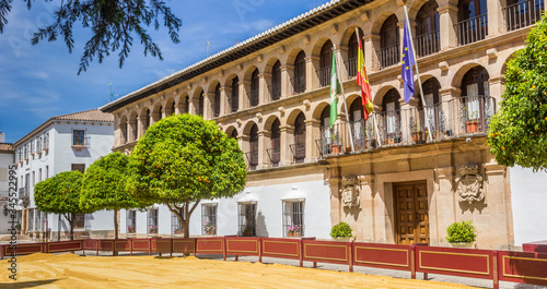 Panorama of the historic town hall of Ronda, Spain