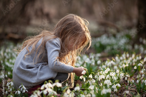 Little pretty girl in a clearing of snowdrops. A child walks in the spring forest.