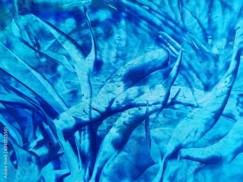 encaustic under water plants blue photo