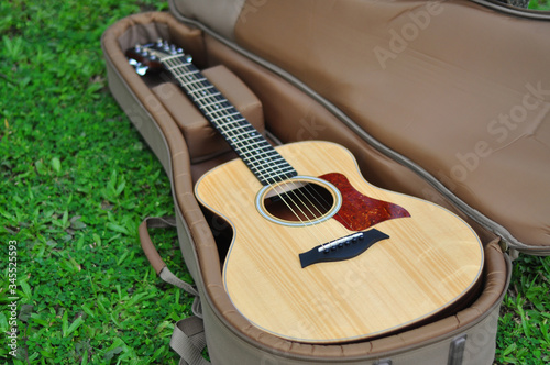 Guitar in bag on grass background