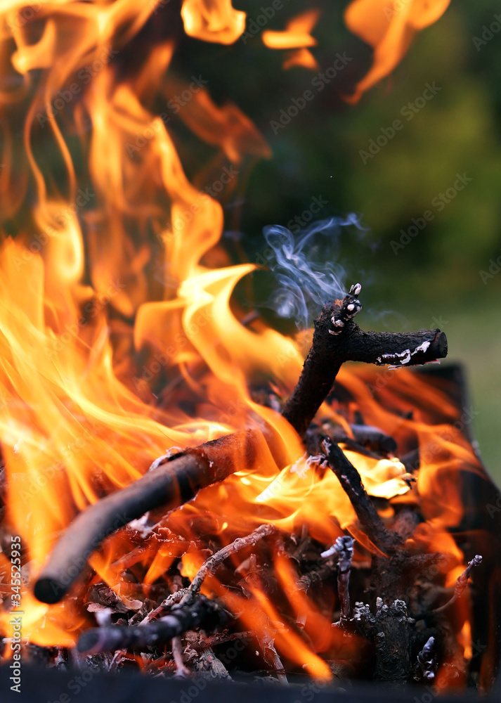 A large, bright flame of fire at closer range. Black tree branches are