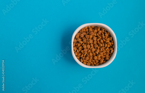 white cup full with animal food for cats cats dogs