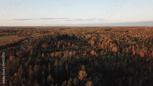 4K aerial bright autumn sunset high quality video footage of lush bright red and brown countryside forest and fields in rural village outskirts in Yaroslavl region of Russia photo