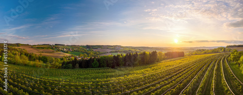 Kulturlandschaft mit einer Kirschbaumplantage im Vordergrund und Scharten in Oberösterreich im Hintergrund photo