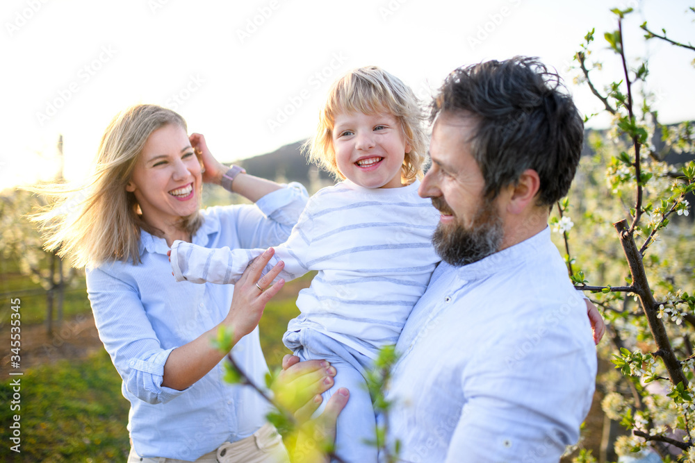 Family with small son standing outdoors in orchard in spring, laughing. Family with small son standing outdoors in orchard in spring, laughing.