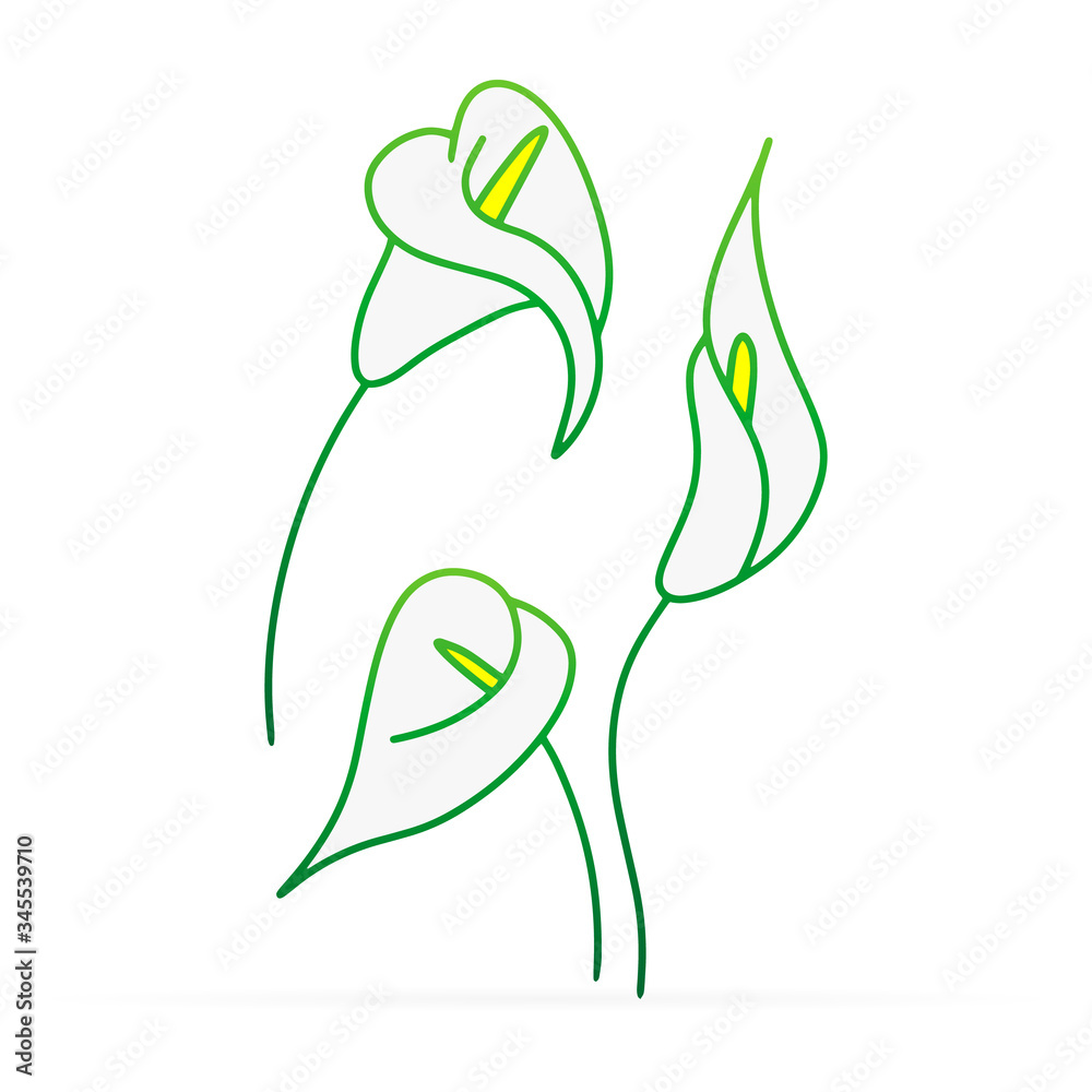 Doodle calla lilies icon isolated on white. Sketch flower. Hand drawing line art. Outline vector stock illustration Doodle calla lilies icon isolated on white. Sketch flower. Hand drawing line art. Outline vector stock illustration