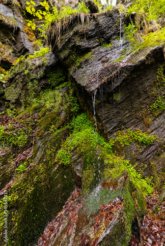 Wasserfall Bestwig Sauerland Fels Tropfen Moos Hintergrund Natur Tal Wandern Bach Geologie Gestein Rinnsal Feuchtigkeit Wald Natur Höhe Regen Pflanzen Spritzer Deutschland Ausflugsziel Freizeitpark  photo