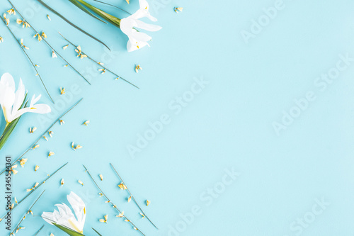 Flowers composition. Spring flowers on blue background. Flat lay, top view