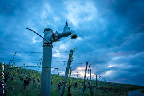 Water faucet in a vineyard with cloudy sky photo