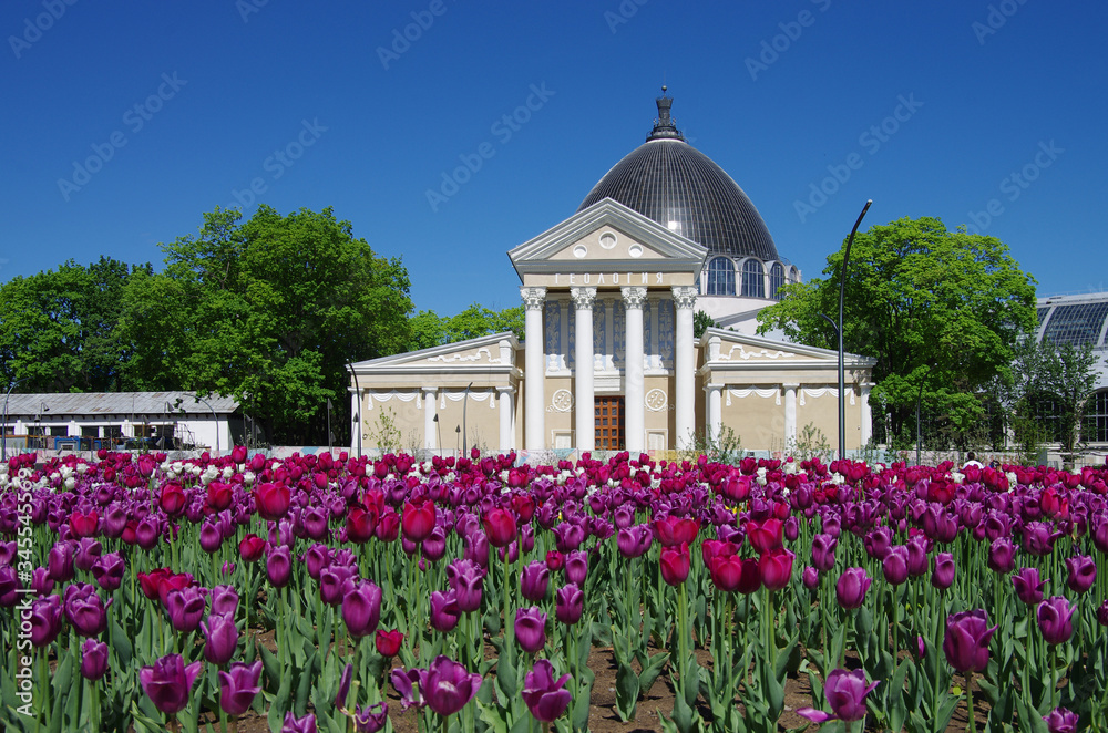 MOSCOW, RUSSIA - May, 2019: The All Russian Exhibition Center in sunny day