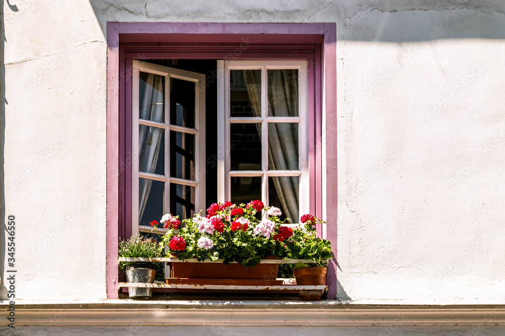 Half open window in the old house decorated with flowers in pots outside. Normandy, France.