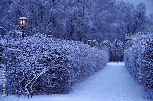 MOSCOW, RUSSIA - Yanuary, 2020: Winter evening view of the Kuskovo estate photo