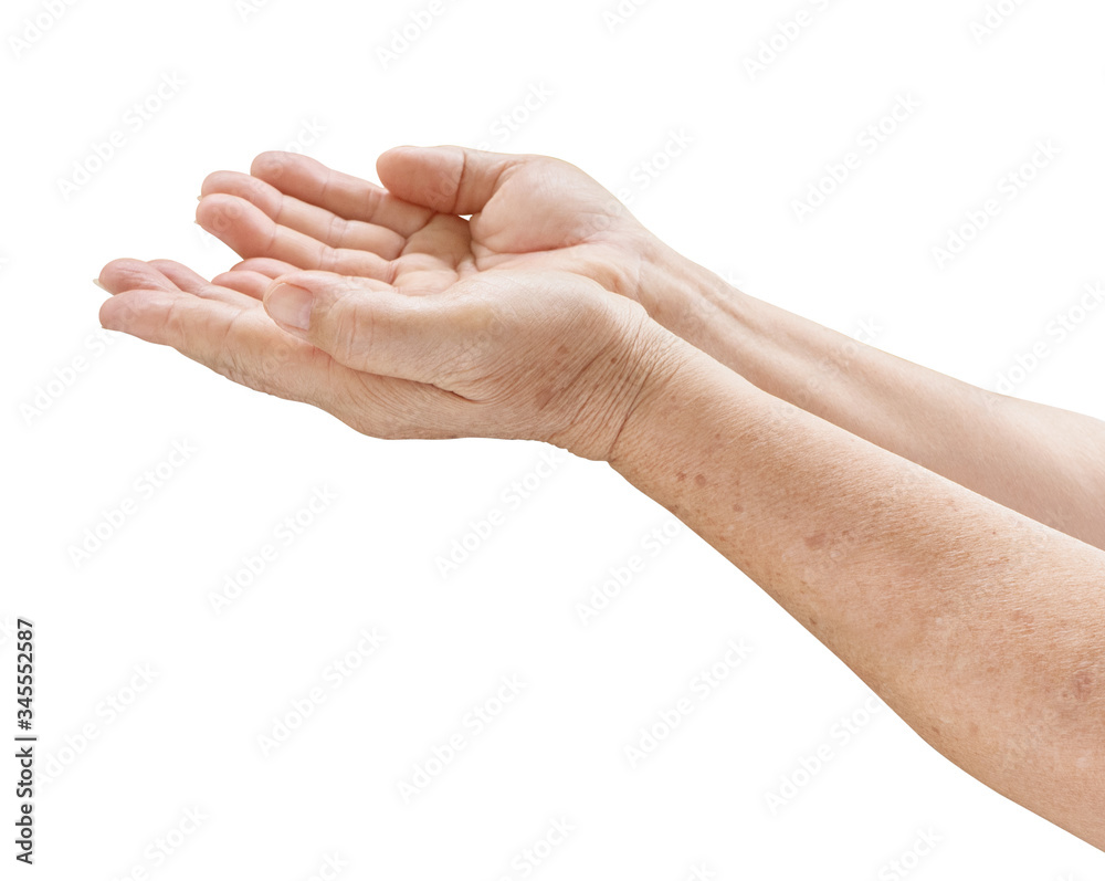 Elderly woman hands open palm up isolate is on white background with clipping path Elderly woman hands open palm up isolate is on white background with clipping path