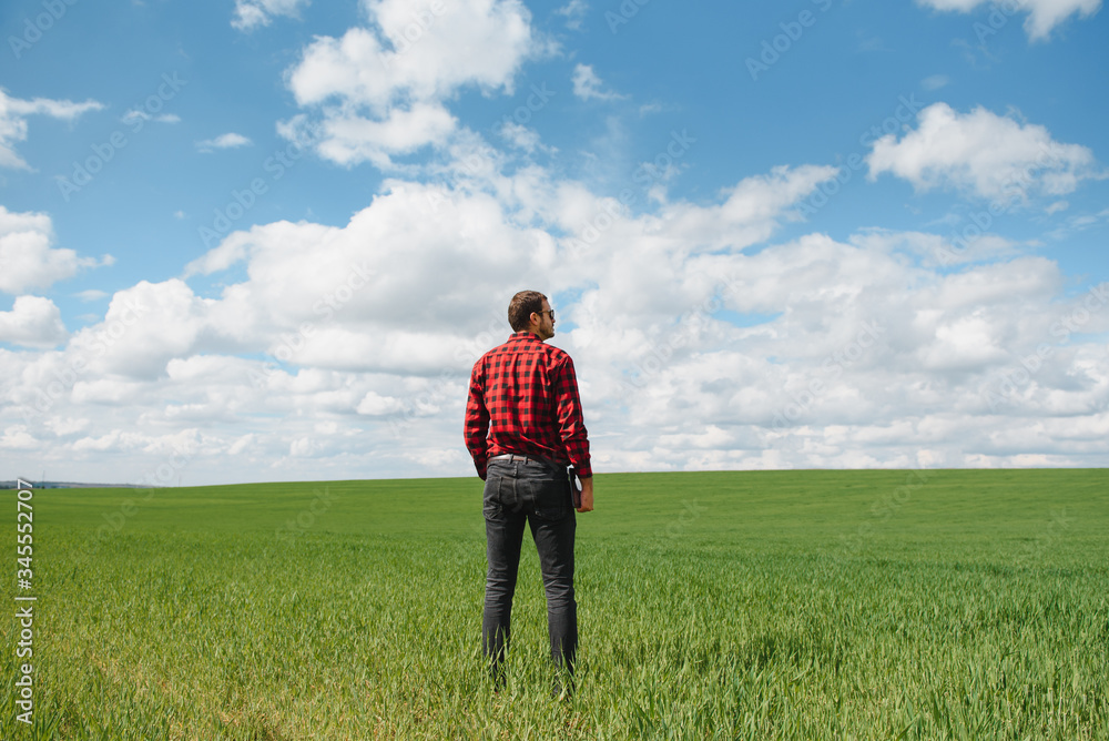Farmer walking through a green wheat field on windy spring day and examining cereal crops Farmer walking through a green wheat field on windy spring day and examining cereal crops