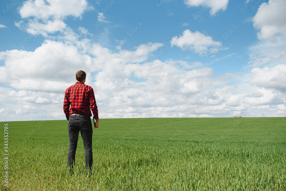 Young agronomist holds tablet touch pad computer in green wheat field. Agribusiness concept. agricultural engineer standing in a wheat field with a tablet in summer Young agronomist holds tablet touch pad computer in green wheat field. Agribusiness concept. agricultural engineer standing in a wheat field with a tablet in summer