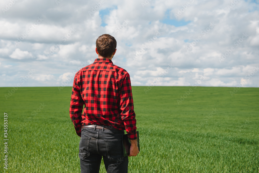 Portrait of farmer standing in young wheat field holding tablet in his hands and examining crop. Portrait of farmer standing in young wheat field holding tablet in his hands and examining crop.