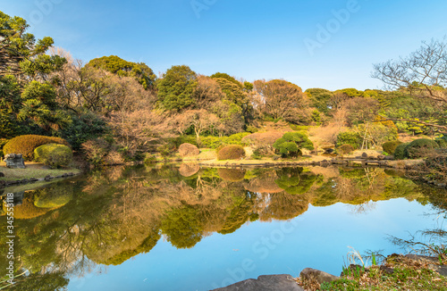 The pond of the Japanese garden of the Koishikawa botanical gardens where the trees and shrubs of azalea are reflected in the water as in a mirror.