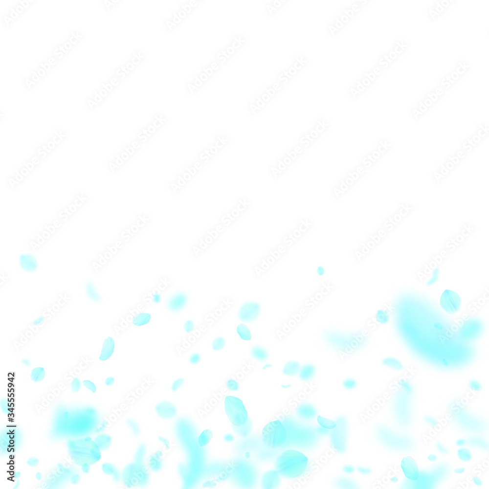 Turquoise flower petals falling down. Indelible ro Turquoise flower petals falling down. Indelible ro