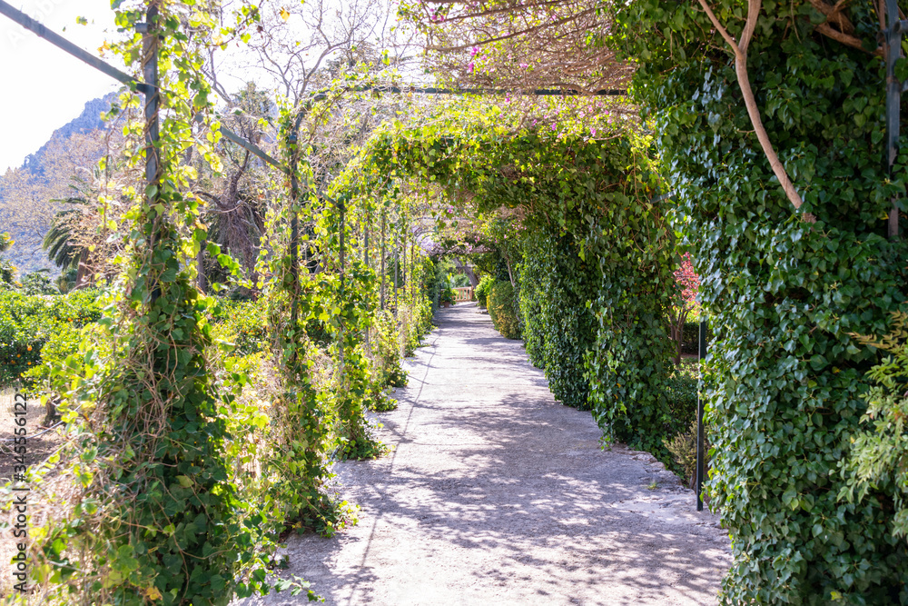 schöner Laubengang in einem Spanischen Garten schöner Laubengang in einem Spanischen Garten