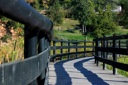 bridge in the park
