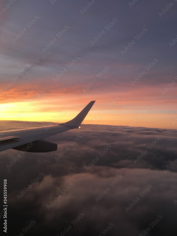 Fototapeta premium airplane in the sky