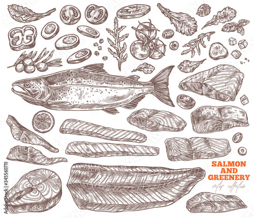 Vector set of slices, fillet, steak of salmon for bbq and collection of greenery salad, tomato, arugula. Hand drawn seafood, red fish and vegetables. Sketch illustration of meat food products