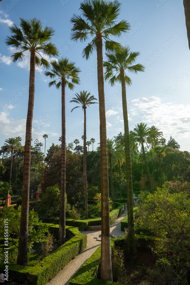 September 9, 2019, Sevilla, Andalusia, Spain, beautiful green gardens in moorish palace Alcazar September 9, 2019, Sevilla, Andalusia, Spain, beautiful green gardens in moorish palace Alcazar