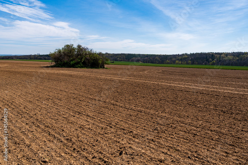 Agricultural field brown soil farm landscape.Line of arable land.