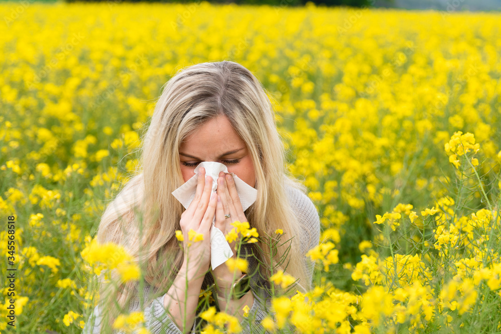 Fototapeta premium Young woman suffers from allergy in a rape field and has to sneeze