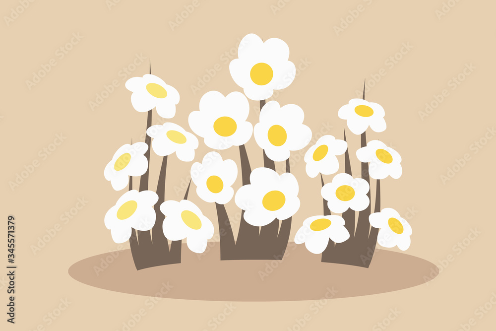 Flowers are popular objects for photographers, designers and artists. Flowers are popular objects for photographers, designers and artists.