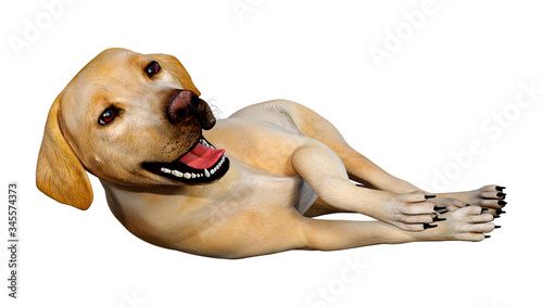 3D Rendering Labrador Dog on White